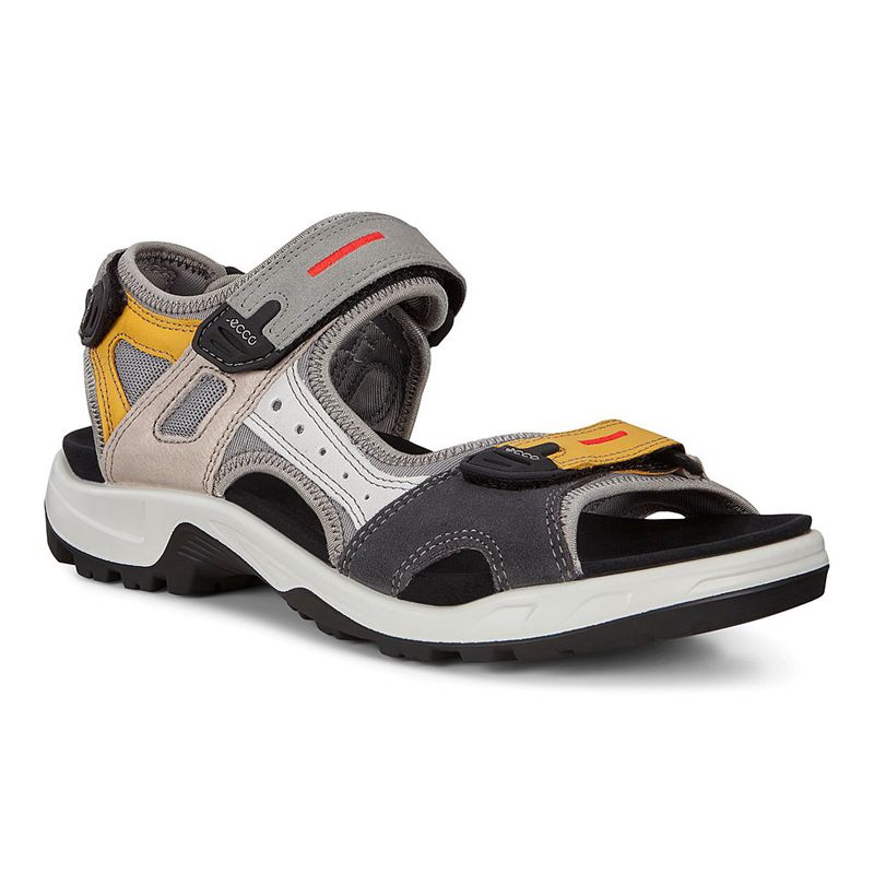 Men Ecco Offroad - Sandals Multicolour - India PUJVTI659